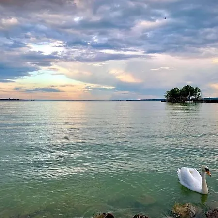 Gallery - Apartament *