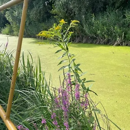 Gallery - * Keszthely