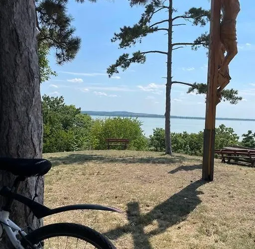 Gallery - كيستاي