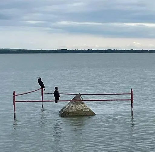 דירה Gallery - קסזטלי